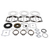 VertexWinderosa Complete Gasket Set with Oil Seals - 811 Fits Arctic cat - 304308 - 304308