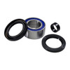 All Balls Wheel Bearing & Seal Kit - 206000