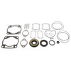 VertexWinderosa Professional Complete Gasket Sets with Oil Seals Fits Arctic cat - 09-711266 - 287414