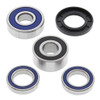 All Balls Wheel Bearing & Seal Kit - 306905