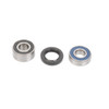 All Balls Wheel Bearing & Seal Kit - 206445