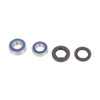 All Balls Wheel Bearing & Seal Kit - 206461