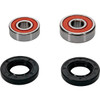 Pivot Works Premium Wheel Bearing Kit - 347476