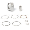 PRO-X Cast Piston Kit GAS GAS, HUSABERG, HUSQVARNA, KTM - 250 cc - 069276