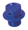 DRC/ZETA/UNIT Magnetic Drain Bolts - 027991