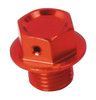 DRC/ZETA/UNIT Magnetic Drain Bolts - 027993