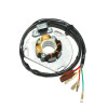 ElectroSport Stator KTM - 215112 - 215112