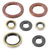 VertexWinderosa Oil Seal Sets GAS GAS, HUSQVARNA, KTM - 404124 - 404124