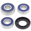 All Balls Wheel Bearing & Seal Kit - 208982
