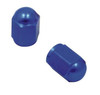 DRC/ZETA/UNIT Valve Cap Standard - 023132