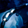 GIANT LOOP Rogue Bag 17 L - 393093