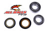 All Balls Tapered Steering Bearing Kit - 306317