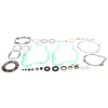 VertexWinderosa Complete Gasket Set with Oil Seals - 811 KAWASAKI - 059624 - 059624