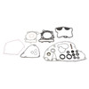 VertexWinderosa Complete Gasket Set with Oil Seals - 811 KAWASAKI - 059795 - 059795