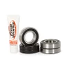 Pivot Works Rear Talon Hub Bearing Kit - 154115