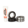 Pivot Works Rear Talon Hub Bearing Kit - 154115