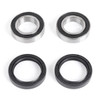 Kimpex Wheel Bearing & Seal Kit - 162058