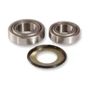 Pivot Works Steering Stem Bearing Kit - 154258