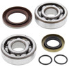 All Balls Crankshaft Bearing and Seal Kit Fits KTM - Dirt bikes - 206960