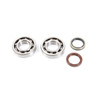 Hot Rods Crankshaft Bearing Kit Fits Suzuki - Dirt bikes - 063681