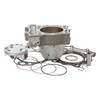 Cylinder Works Standard Cylinder Kit Fits Kawasaki - 250 cc - Nickel Silicon Carbide - 172196