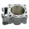 Cylinder Works Standard Cylinder Kit YAMAHA - 250 cc - Nickel Silicon Carbide - 164153