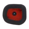 Twin Air Backfire Air Filter KAWASAKI - 025689