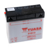 Yuasa Battery YuMicron 51913 - 010165