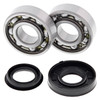 All Balls Crankshaft Bearing Kit - 347683