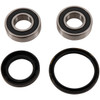 Pivot Works Wheel Bearing Kit - 347775