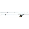 Daiwa D-Wave Premounted Spin Combo,10', 2pc, M, 5000 size Aluminum spool reel, 2BB+2