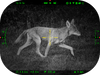 ATN X-Sight-5, 5-25x, Pro Day/Night Scope