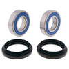 Kimpex Wheel Bearings & Seal Kit - 162147