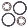 Kimpex Strut Bearing Kit - 162146