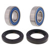 Kimpex Wheel Bearings & Seal Kit - 162141
