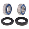 Kimpex Wheel Bearings & Seal Kit - 162141