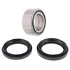 Kimpex Wheel Bearings & Seal Kit - 162136