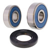 Kimpex Wheel Bearings & Seal Kit - 162134