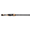 Fenwick World Class Bass Spinning Rod, 6'10", Medium, Fast