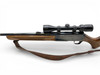 Browning BAR Semi Auto Rifle .270 Win 22" Barrel Wood Stock With  Bushnell 3-9X 40 Scope