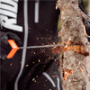 Mountain Lab Backcountry Chainsaw - 919055