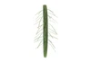 Yamamoto 4" Fuzzy Senko, Baby Bass, 5pk