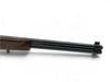 Chiappa Double Badger Over Under .22 Mag / .410 Combination Gun 19" Barrels Wood Stock