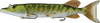 LiveTarget Juvenile Pike Swimbait, 8", 3 1/8 Oz, Metallic/ Green