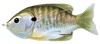 Live Target Hollow Body Sunfish, 3", 7/16 Oz,  Natural/ Olive Bluegill