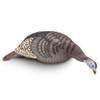 Hunter Specialties Strut Lite Feeding Hen Decoy