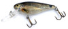 Cotton Cordell CC Shad, Spot Tail Shiner, Big Rock Custom Color Series, 2.5", Diving Depth 8-20 Feet