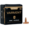 Speer Varmint Hunting Jacketed HP Bullets .243, 75gr, Box of 100