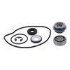 VertexWinderosa Water Pump Repair Kit Fits Arctic cat - 304677