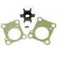 Sierra Water Pump Repair Kit 18-3280 - 728054